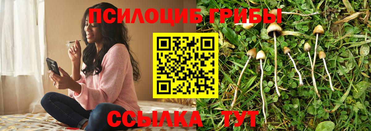 Галлюциногенные грибы прущие грибы Борисоглебск