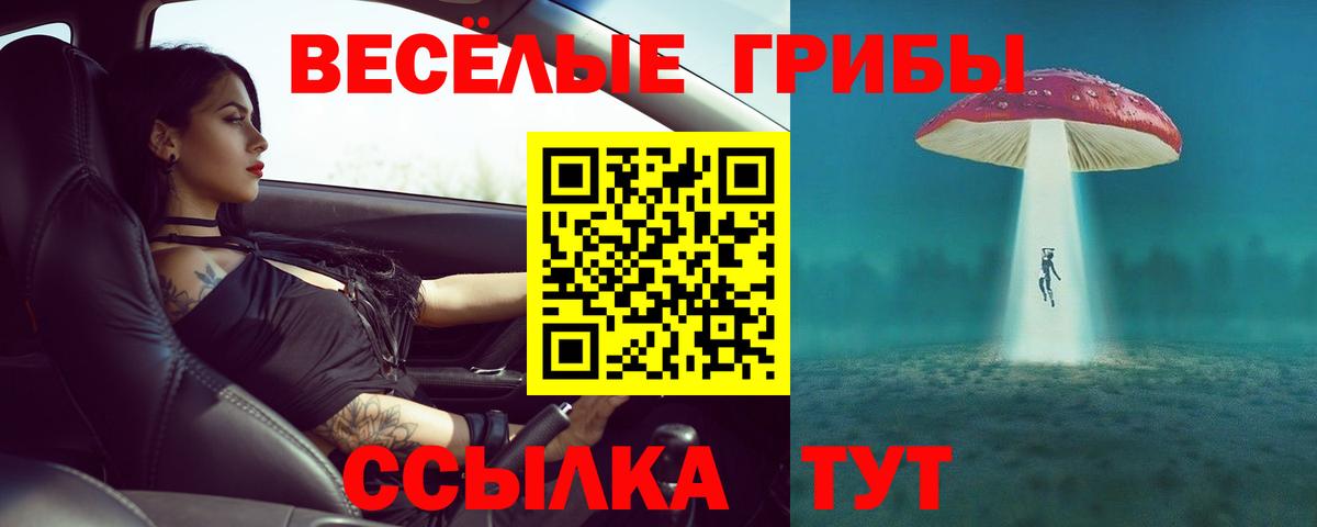 Галлюциногенные грибы мицелий  Вход с VPN  Борисоглебск 