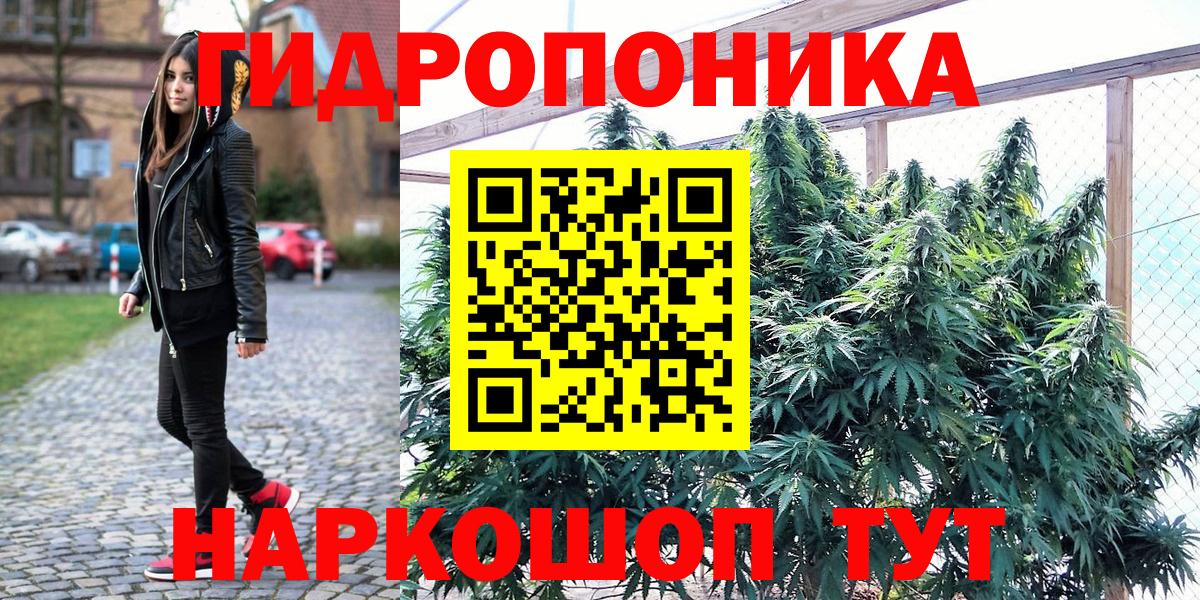 Борисоглебск  Каннабис марихуана  Шишки марихуана индика  Вход с VPN  Канабис план 